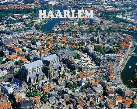 Private With Garden, Close To Amsterdam Assendelft